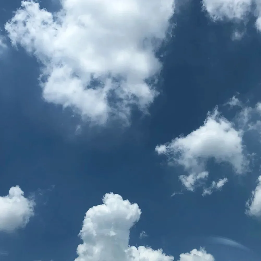 「真夏の空、日本の夏」🌻😊